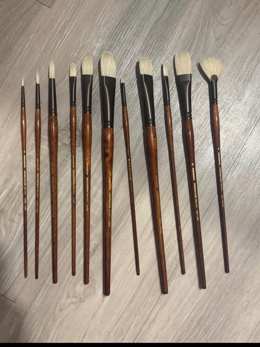 NEW Princeton Preserve Professional Artist Paint Brushes Lot- 11 Natural Bristle